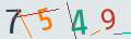 verifycode